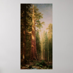 The Great Trees, by Albert Bierstadt Poster
