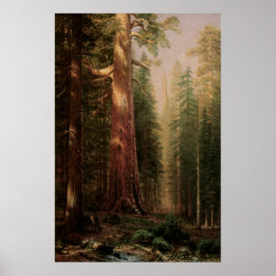 The Great Trees, Mariposa Grove, CA by Bierstadt Poster