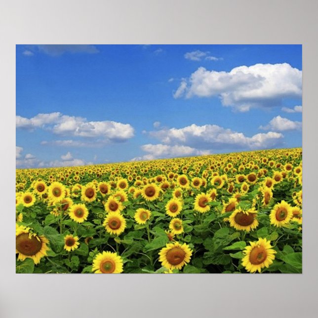 The_Greatness_of_Nature_(5) Poster (Front)