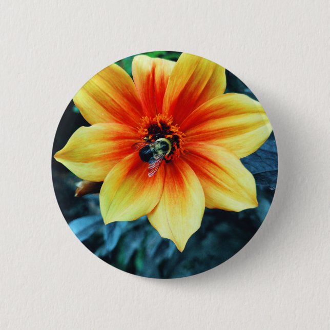 "The Greedy Bumblebee" 2 Inch Round Button (Front)