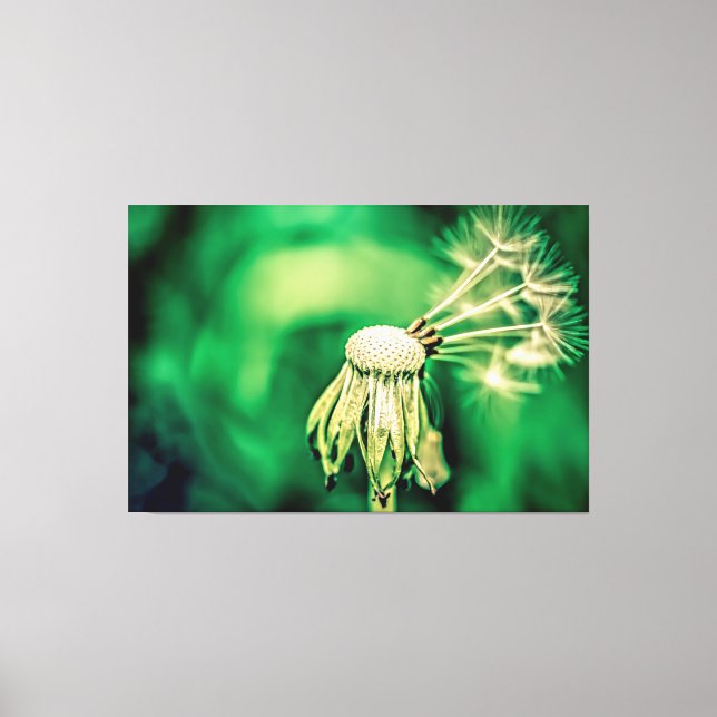 The Green Chief Funny Floral Canvas Print (Front)