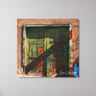 The Green Doors Canvas Print