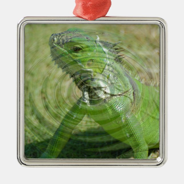 The Green Iguana Metal Ornament (Front)