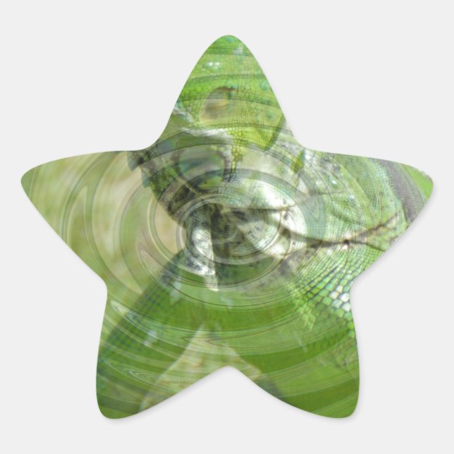 The Green Iguana Star Sticker (Front)