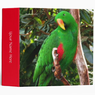 "The Green Orator" Eclectus Parrot Binder