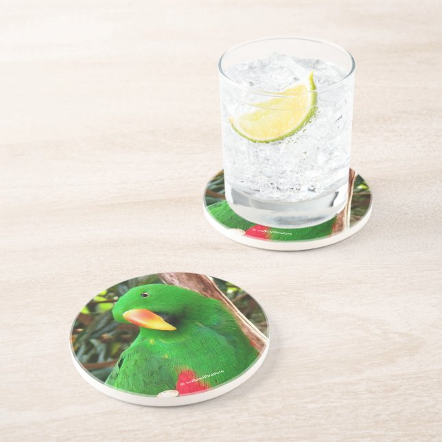"The Green Orator" Eclectus Parrot Coaster (Side)