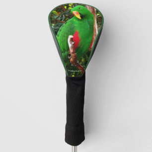 "The Green Orator" Eclectus Parrot Golf Head Cover