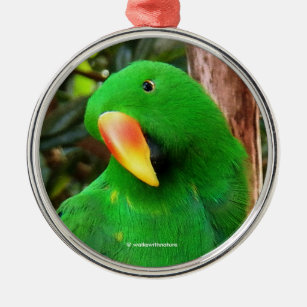 "The Green Orator" Eclectus Parrot Metal Ornament