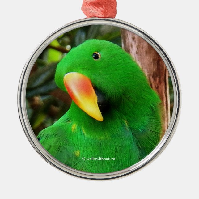 "The Green Orator" Eclectus Parrot Metal Ornament (Front)