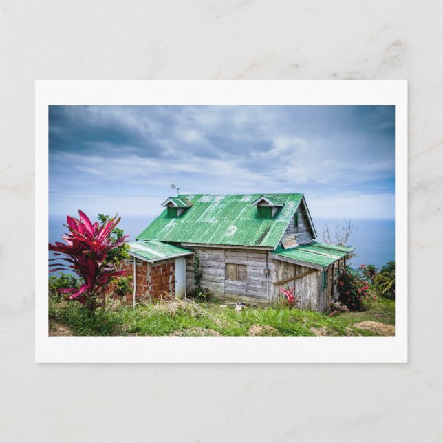 the green roof postcard (Front)