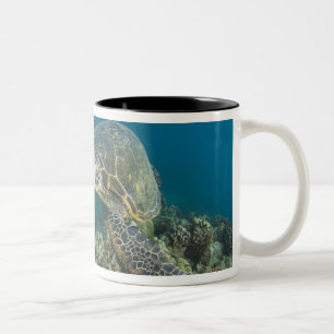 The Green Sea Turtle, (Chelonia mydas), is the 2 Two-Tone Coffee Mug