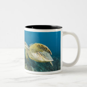 The Green Sea Turtle, (Chelonia mydas), is the 3 Two-Tone Coffee Mug