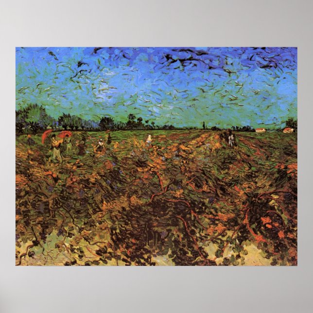 The Green Vineyard by Vincent van Gogh Poster (Front)