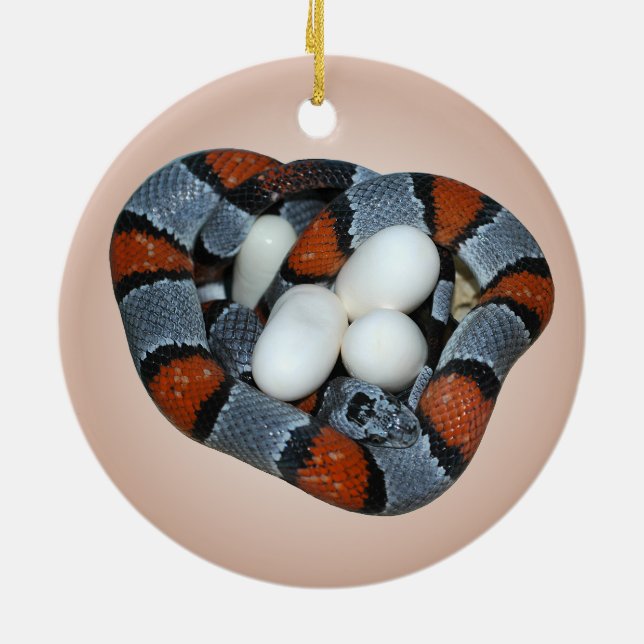 The grey-banded kingsnake ceramic ornament (Back)