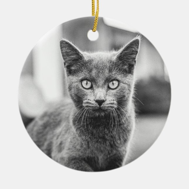 The grey Cat Ceramic Ornament (Front)