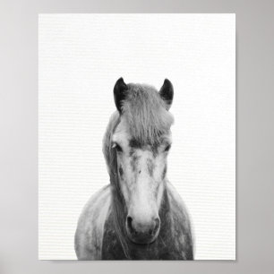 The grey horse, black and white horse photography poster