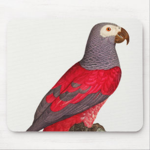 The Grey Red Parrot, Psittacus erithacus Mouse Pad