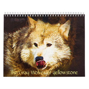 The Grey Wolves of Yellowstone Calendar
