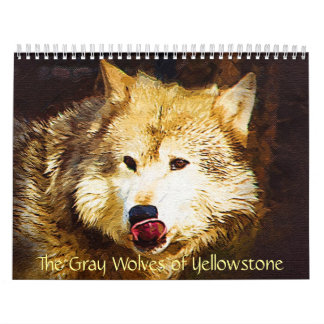 The Grey Wolves of Yellowstone Calendar