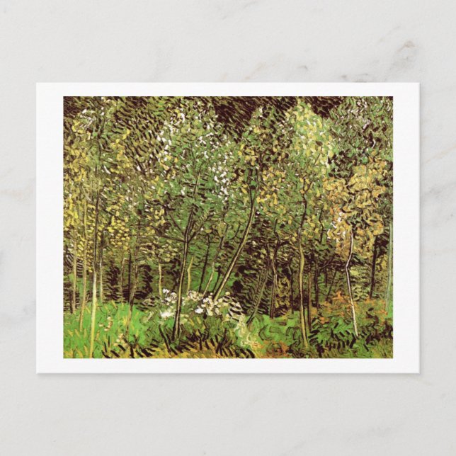 The Grove, Van Gogh Fine Art Postcard (Front)