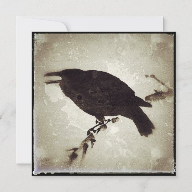 The Grunge Crow (Front)