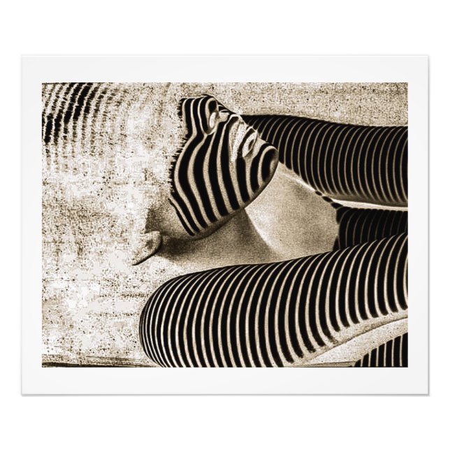 The Guardian (Sepia) Photo Print (Front)