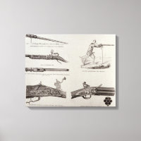 The Gun and its Development