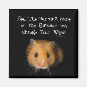 The Hamster Magnet