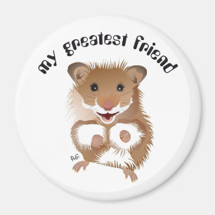 the hamster my little friend Magnet