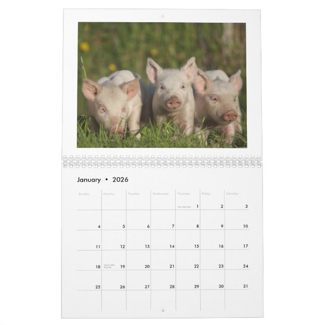 The Happy Piglets 2015 - Cute Baby Pigs Calendar (Jan 2026)