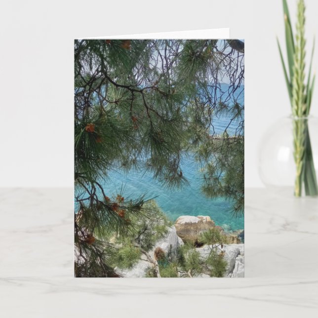 The harbor at Skiathos Port. Blank. Card (Front)