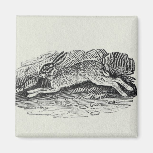 The Hare Magnet (Front)