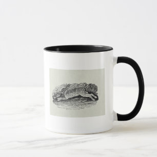 The Hare Mug