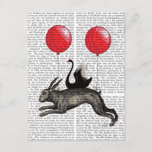 The Hare Ship Postcard