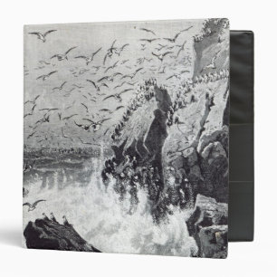 The Haunt of the Gulls Binder