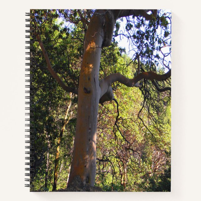 The Haunted tree.... Notebook (Front)
