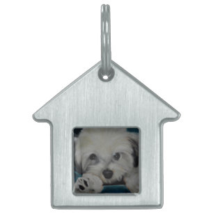 The Havanese Pet Name Tag