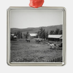 The Haylie Ranch, Crook County, Wyoming, c.1890 (b Metal Ornament