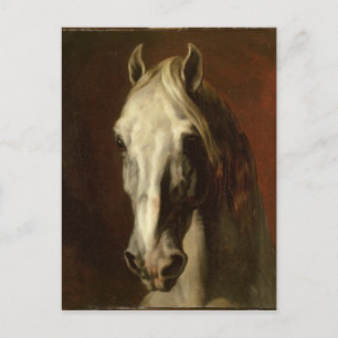 The head of white horse by Theodore Gericault Postcard