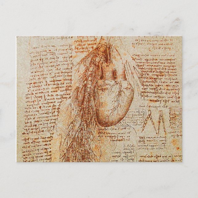The Heart and the Bronchial Arteries Parchment Postcard (Front)