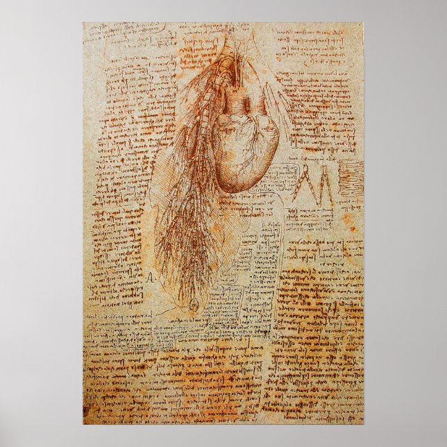 The Heart and the Bronchial Arteries Poster (Front)