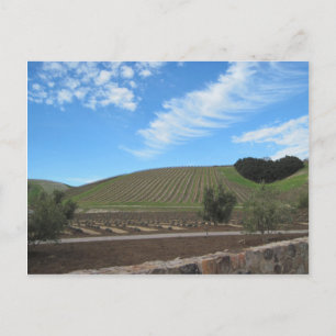 The Heart of Paso Robles Wine Country Postcard