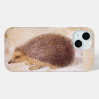 THE HEDGEHOG  Antique Animal Painting