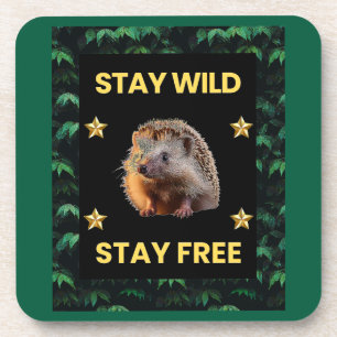 The Hedgehog - Stay Wild Stay Free Coaster