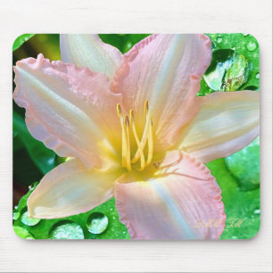 The, "Hello- I am a beautiful flower", mouse pad