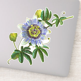 The Herb Passionflower | Vinyl Sticker