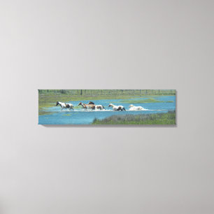 The Herd by Leslie Peppers Canvas Print