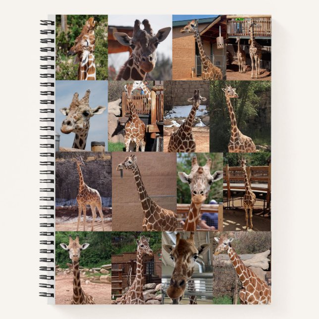 The Herd Notebook (Front)