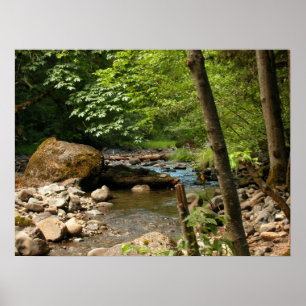 The Hiding Place Poster