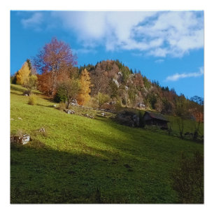 The High Meadow - Wild Nature Romania Poster